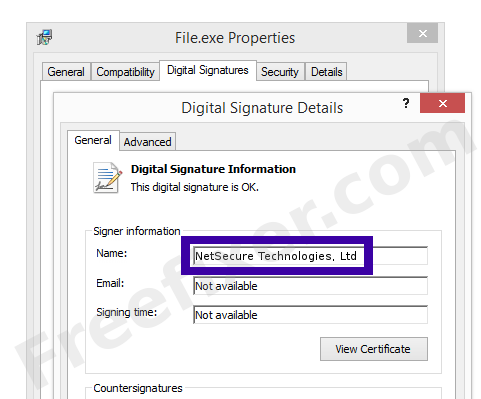 Screenshot of the NetSecure Technologies, Ltd certificate